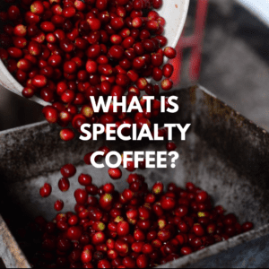 Common questions about coffee